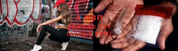 ГАЛЛЮЦИНОГЕННЫЕ ГРИБЫ Бронницы