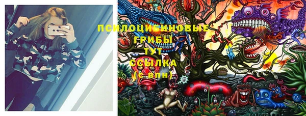 дживик Бугульма
