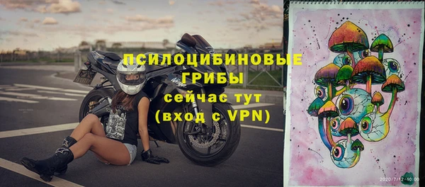 ГАЛЛЮЦИНОГЕННЫЕ ГРИБЫ Бронницы