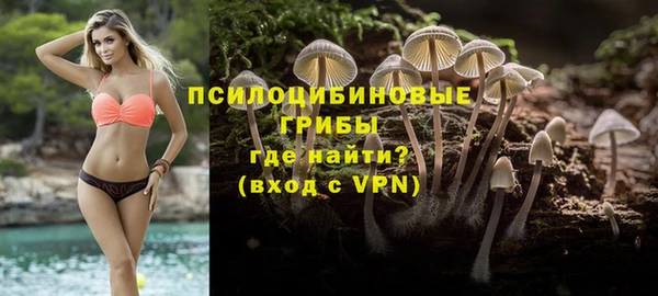 дживик Бугульма